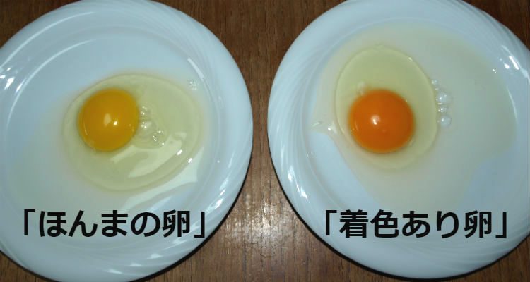 ほんまの卵